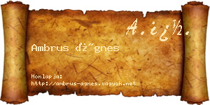 Ambrus Ágnes névjegykártya