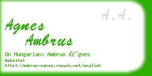 agnes ambrus business card